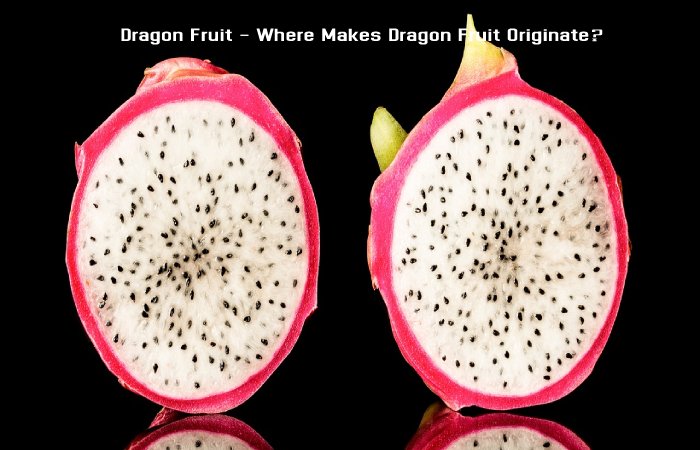 Dragon Fruit - Where Makes Dragon Fruit Originate