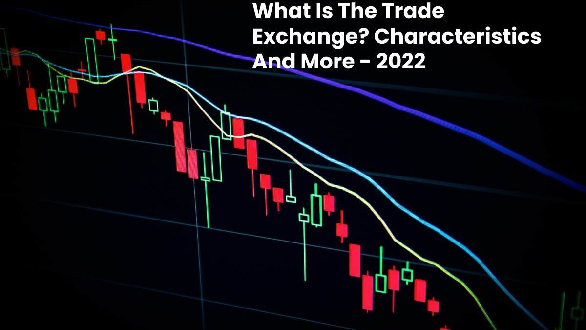 What Is The Trade Exchange? Characteristics And More