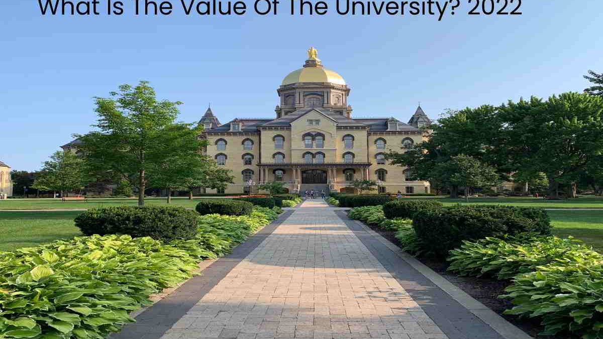 What Is The Value Of The University?