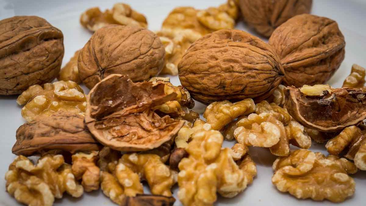 What Walnuts Do In The Body?