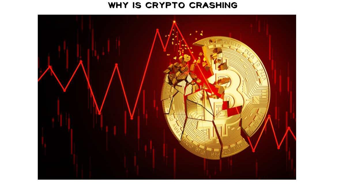 Why Is Crypto Crashing