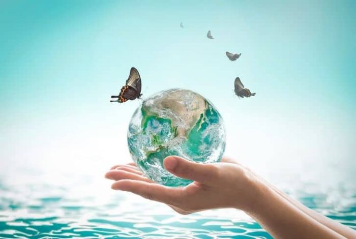 Importance Of Ecosystem