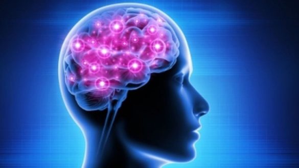Rajkotupdates.News _ Elon Musk In 2022 Neuralink Start To Implantation Of Brain Chips In Humans