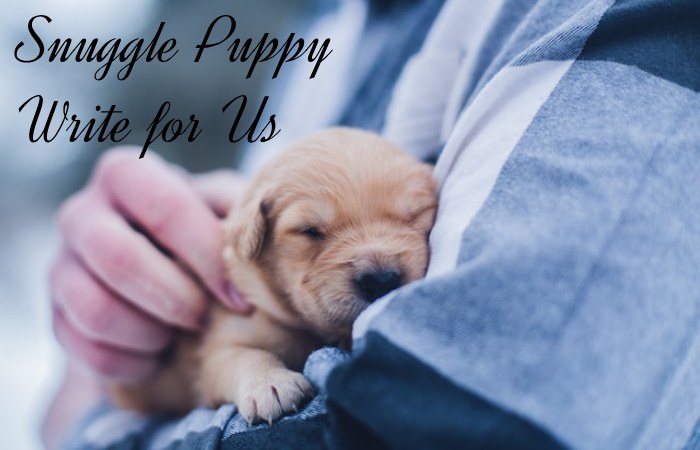 Snuggle Puppy Write for Us