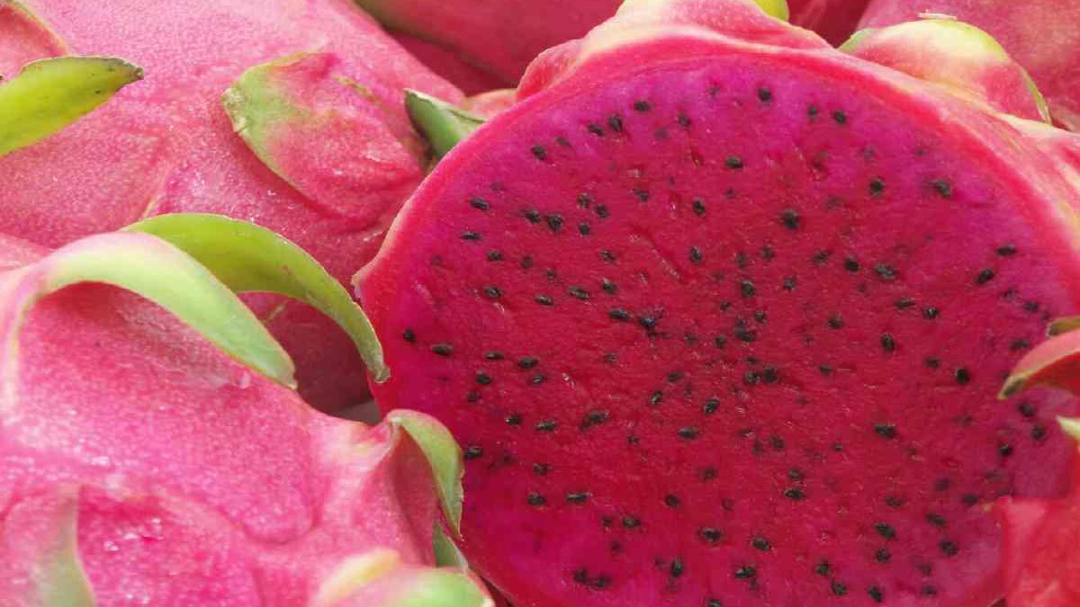 Dragon Fruit Originates In The Latin United States