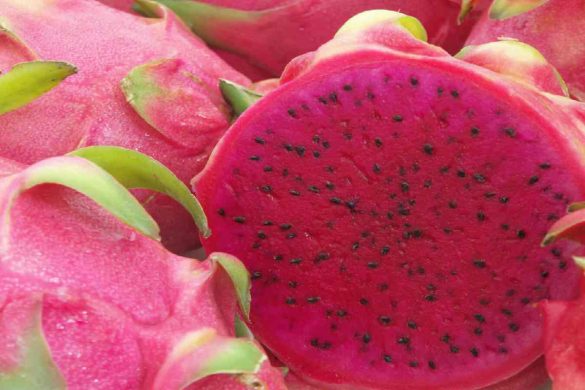 Dragon Fruit Originates In The Latin United States