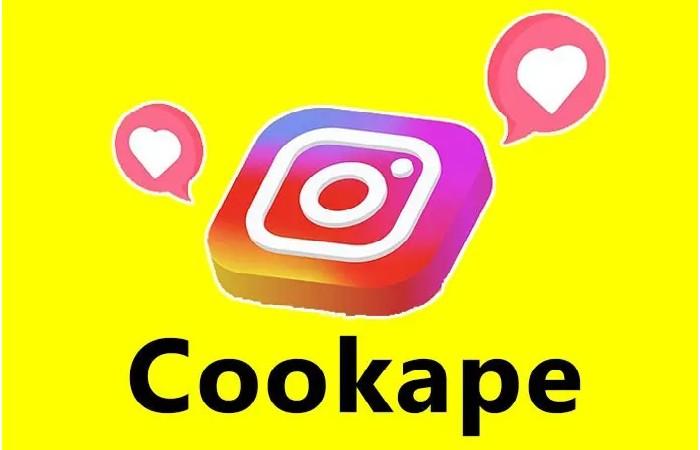 What Is Cookape com_ (A Clear Definition)